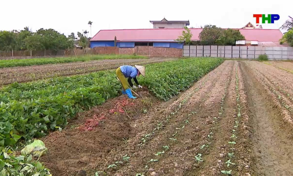 Nhịp sống 24h (17/04/2026)