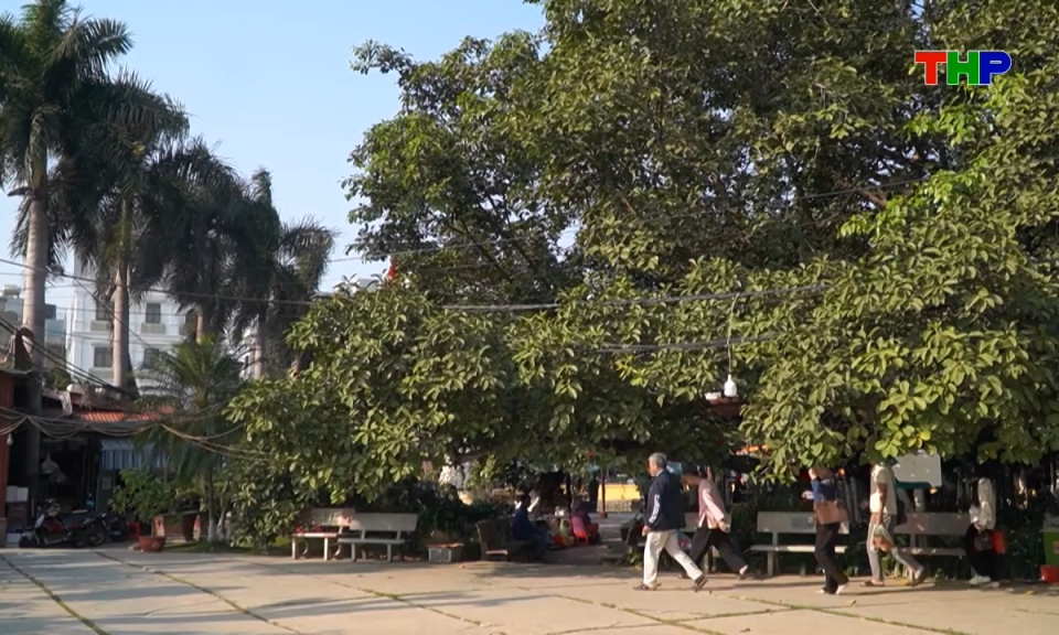 Bản tin tiếng Trung - 海防新闻 (18/04/2026)