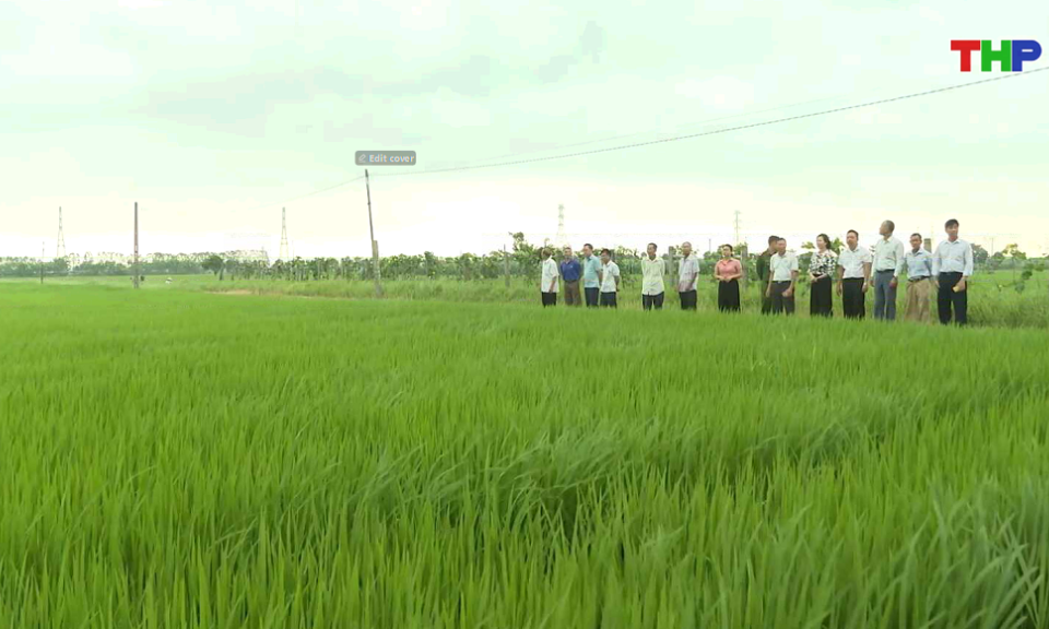 Bản tin thời sự 17h00 (18/04/2026)