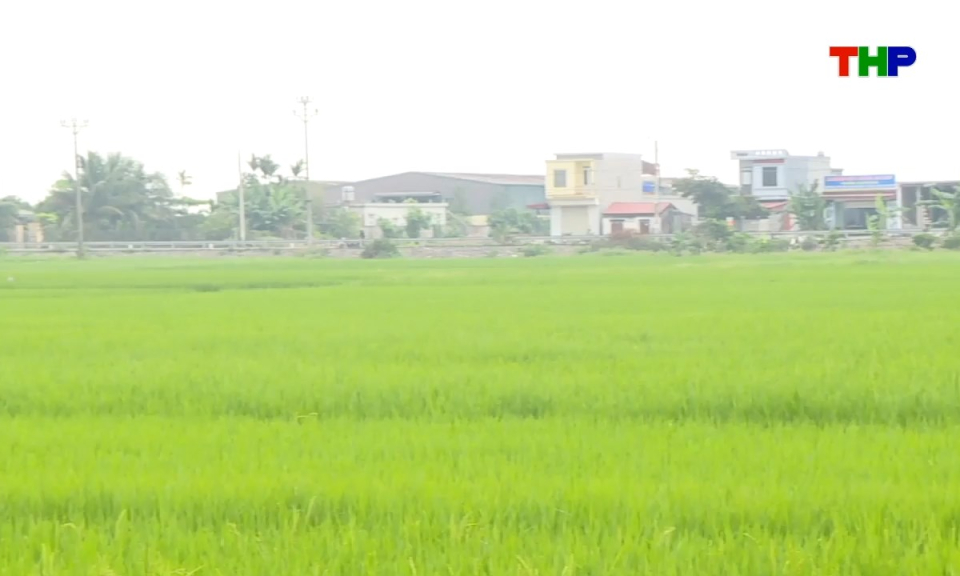 Bản tin thời sự cuối ng&agrave;y (18/04/2026)