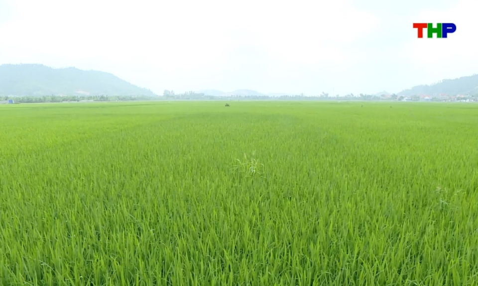 Bản tin thời sự cuối ng&agrave;y (20/04/2026)