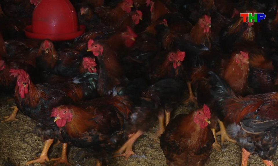 Bản tin tiếng Anh - Hai Phong News (21/04/2026)