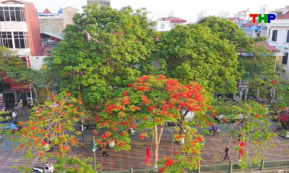 Ng&agrave;nh du lịch sẵn s&agrave;ng cho dịp Lễ hội Hoa Phượng Đỏ