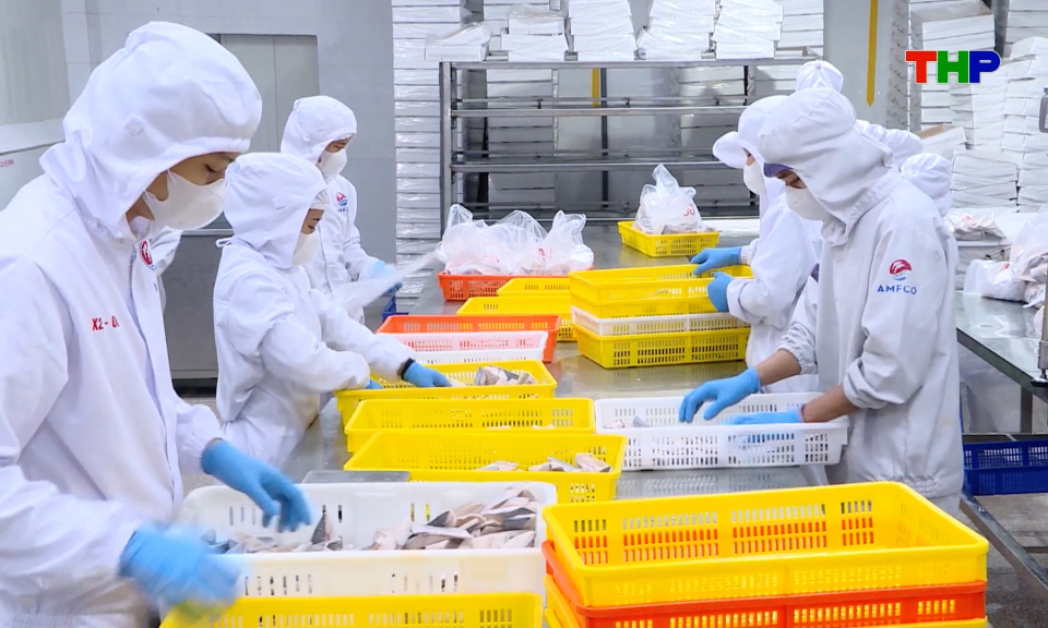 Thủy sản th&agrave;nh phố tăng trưởng t&iacute;ch cực trong Qu&yacute; I