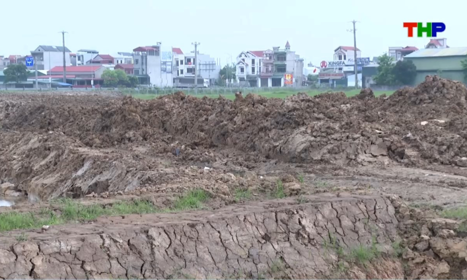 10 ph&uacute;t v&agrave;ng (23/04/2026)