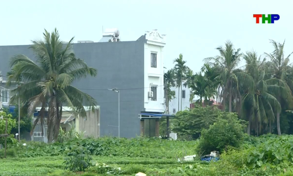 Hộp thư truyền h&igrave;nh: Phường Đ&ocirc;ng Hải th&aacute;o gỡ "n&uacute;t thắt" trong giải ph&oacute;ng mặt bằng