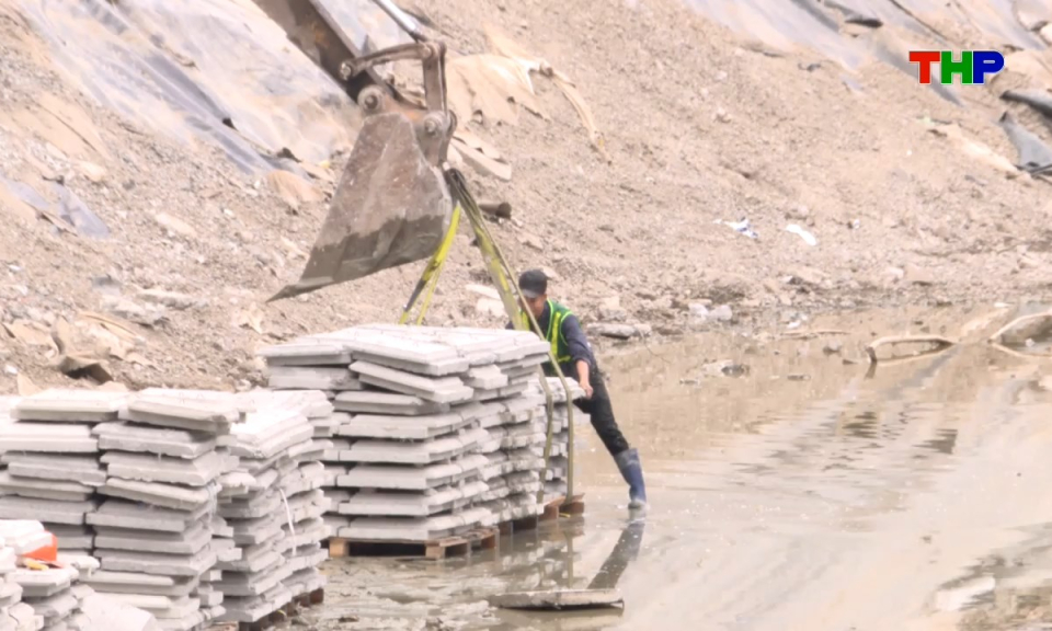 Bản tin tiếng Anh - Hai Phong News (24/04/2026)