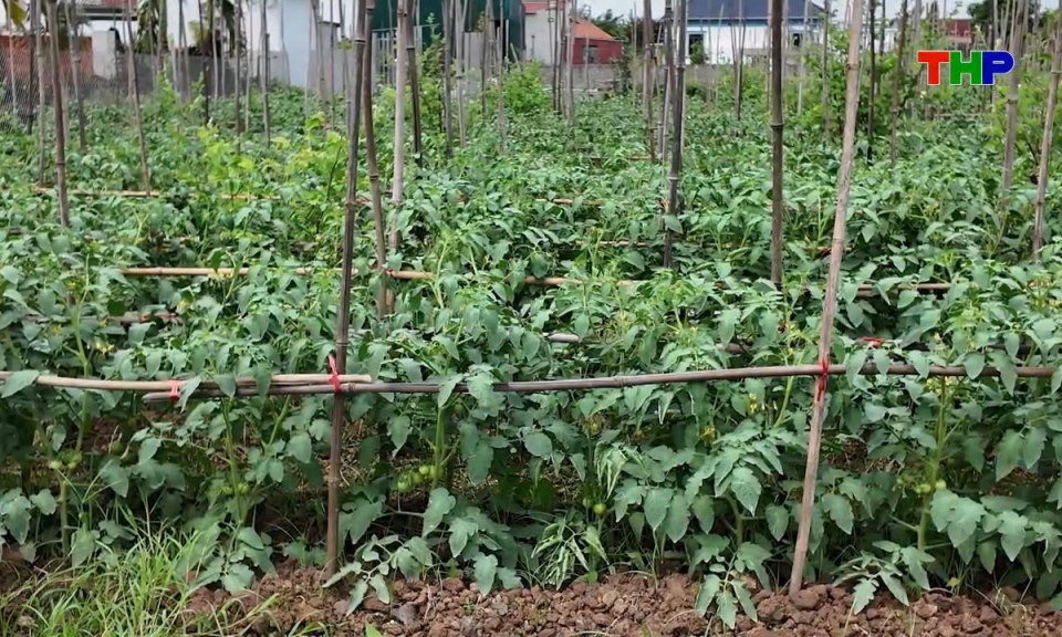 10 ph&uacute;t v&agrave;ng (24/04/2026)