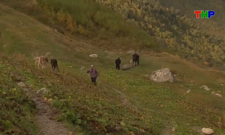 Kh&aacute;m ph&aacute; thế giới: Người Svan - X&atilde; hội Trung cổ c&ograve;n tồn tại giữa thế kỷ 21