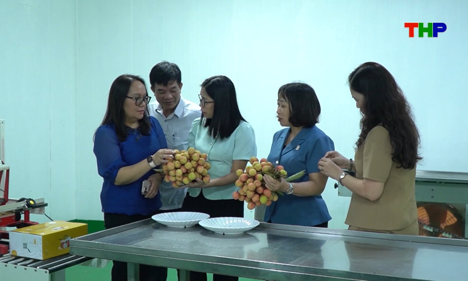 Chuẩn bị c&aacute;c điều kiện xuất khẩu vải thiều 