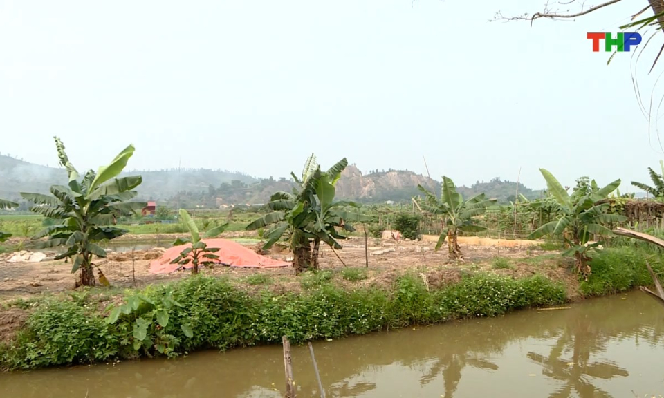 Hộp thư truyền h&igrave;nh: Kh&ocirc;ng cấp sổ đỏ khi đổi đất chưa đ&uacute;ng quy định ph&aacute;p luật