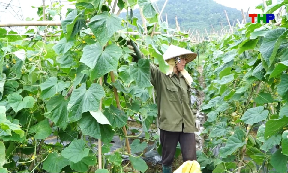 Bản tin thời sự trưa (28/04/2026)