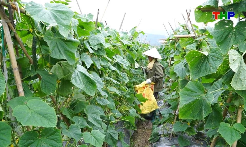 Bản tin thời sự cuối ng&agrave;y (28/04/2026)