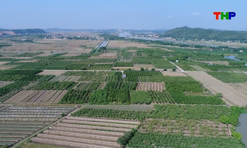 N&ocirc;ng th&ocirc;n mới Hải Ph&ograve;ng: X&acirc;y dựng, ph&aacute;t triển m&ocirc; h&igrave;nh n&ocirc;ng nghiệp hiệu quả