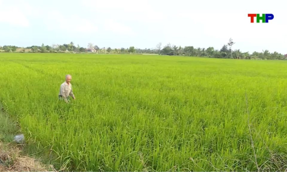 Bản tin thời sự s&aacute;ng (30/04/2026)