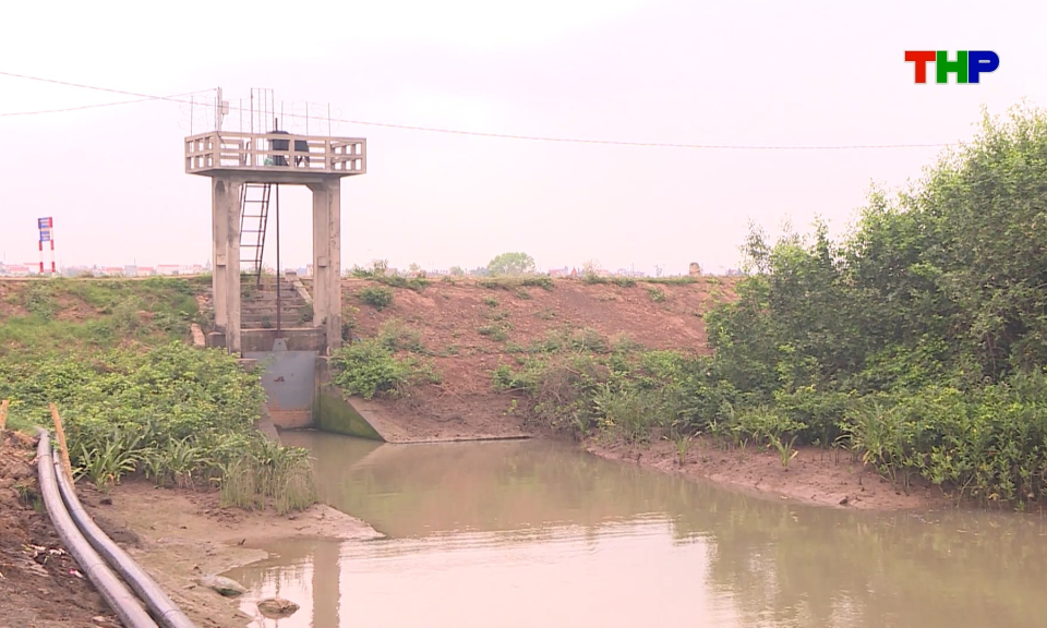 Chủ động bảo vệ c&aacute;c tuyến đ&ecirc; xung yếu trước m&ugrave;a mưa b&atilde;o