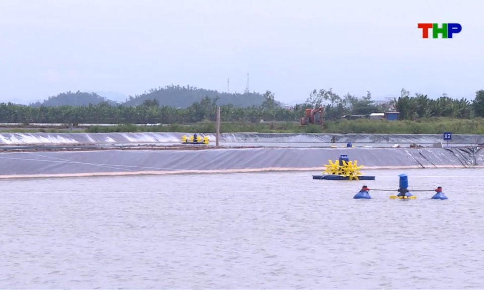 Bản tin thời sự s&aacute;ng (01/05/2026)