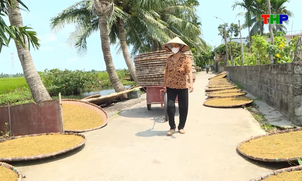 N&acirc;ng cao thu nhập từ c&acirc;y thuốc l&agrave;o