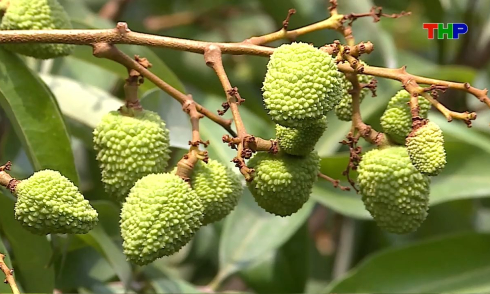 Bản tin thời sự tối (01/05/2026)
