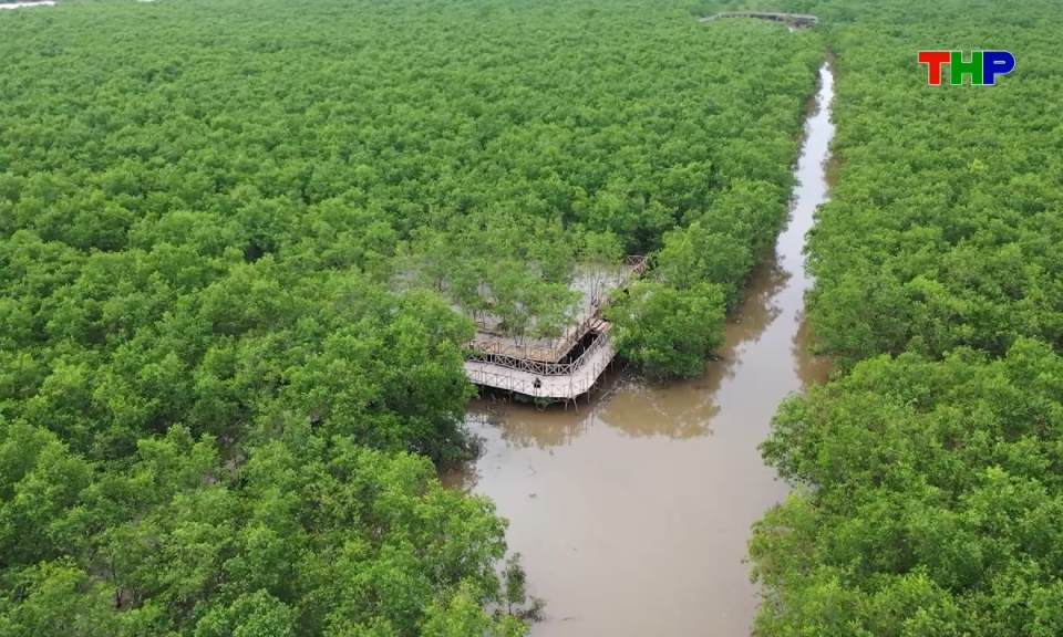 Bản tin tiếng Trung - 海防新闻 (02/05/2026)
