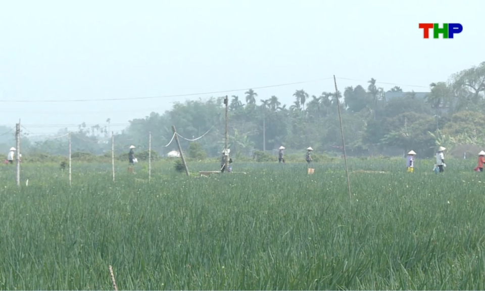 Bản tin thời sự cuối ng&agrave;y (03/05/2026)