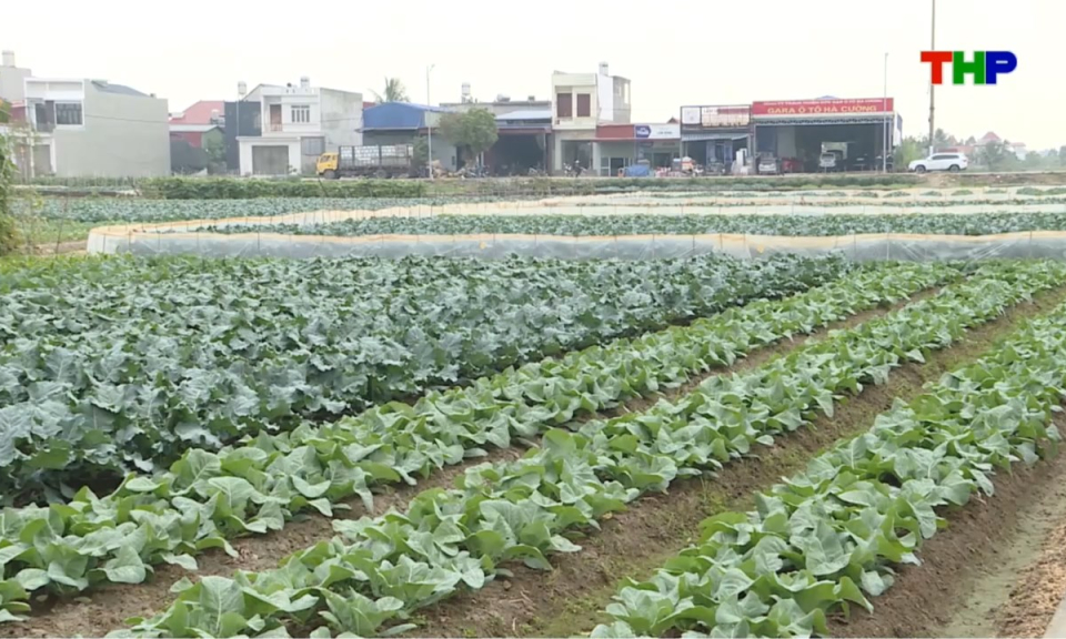Bản tin thời sự trưa (05/05/2026)