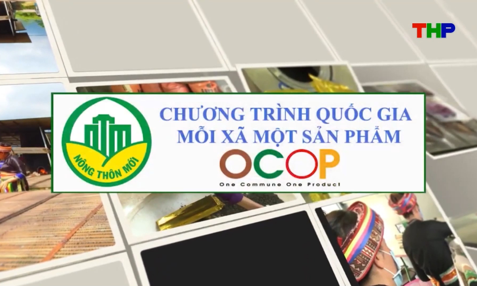 Hỗ trợ ph&aacute;t triển với c&aacute;c sản phẩm OCOP