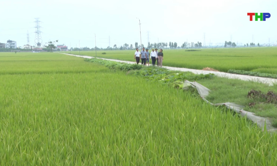 Bản tin thời sự 17h00 (09/05/2026)