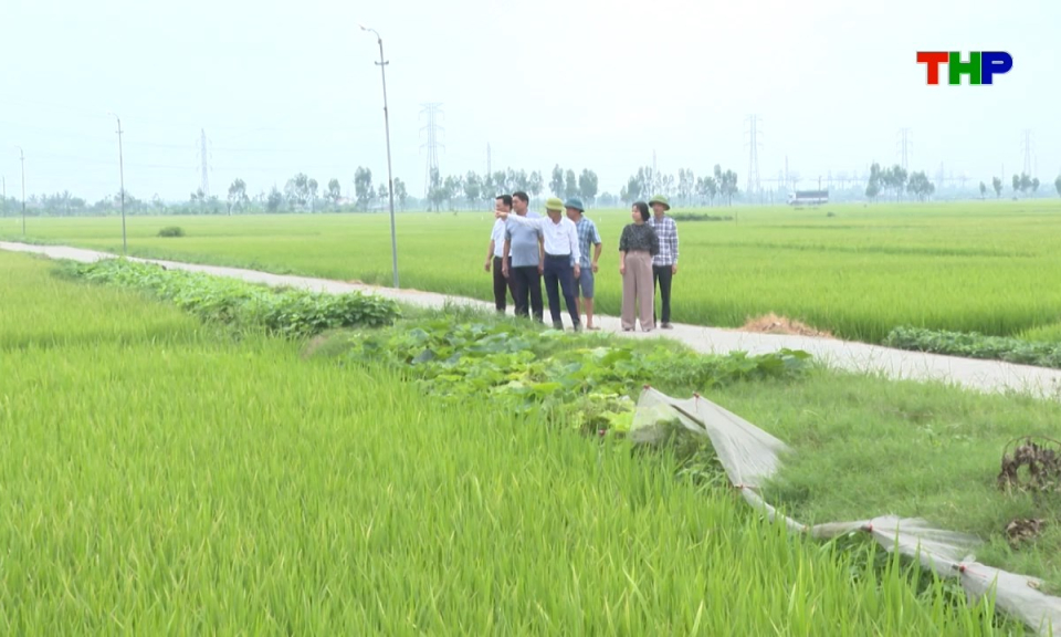 Bản tin tiếng Trung - 海防新闻 (09/05/2026)