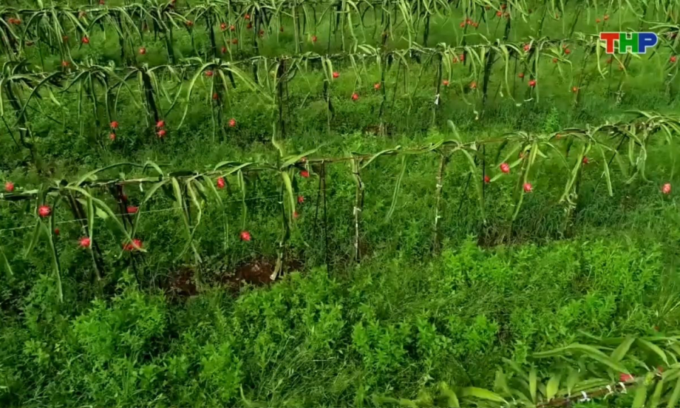 Bản tin thời sự trưa (13/05/2026)