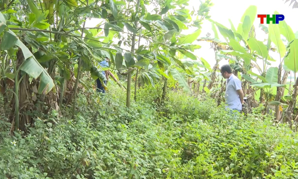 Ph&aacute;p luật v&agrave; cuộc sống: Tăng cường xử l&yacute; vi phạm trật tự x&acirc;y dựng