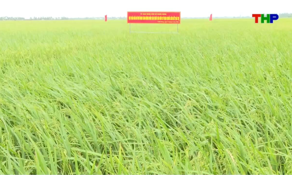 10 ph&uacute;t v&agrave;ng (15/05/2026)