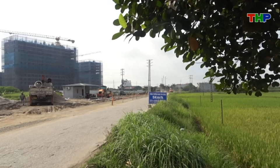Bản tin tiếng Trung - 海防新闻 (16/05/2026)