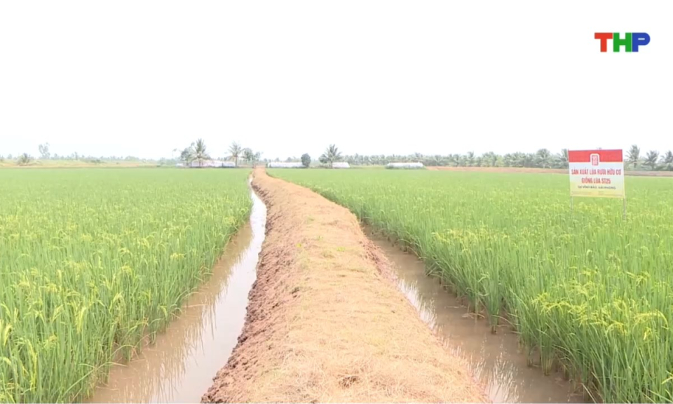 Bản tin thời sự trưa (17/05/2026)