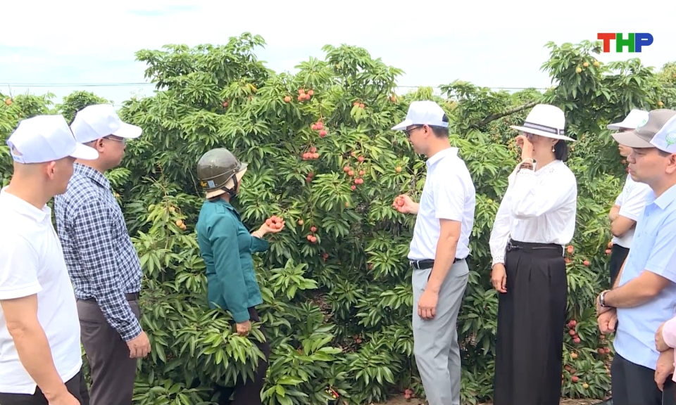 Xây dựng các tour du lịch liên kết 