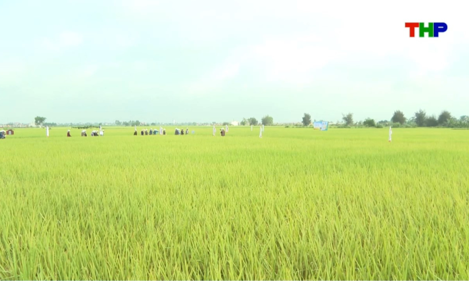Nhịp sống 24h (18/05/2026)