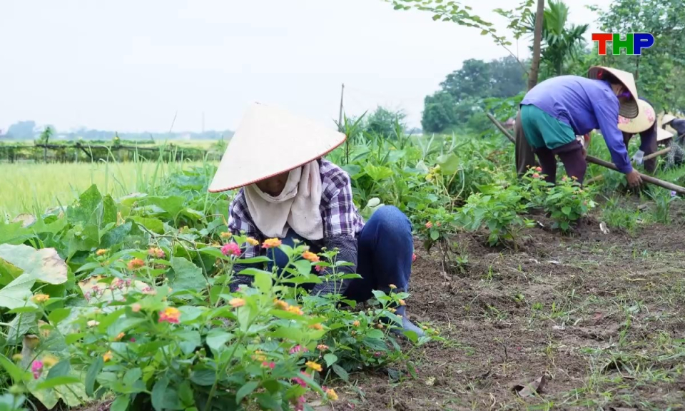 Phụ nữ Việt: Phụ nữ lan tỏa lối sống xanh