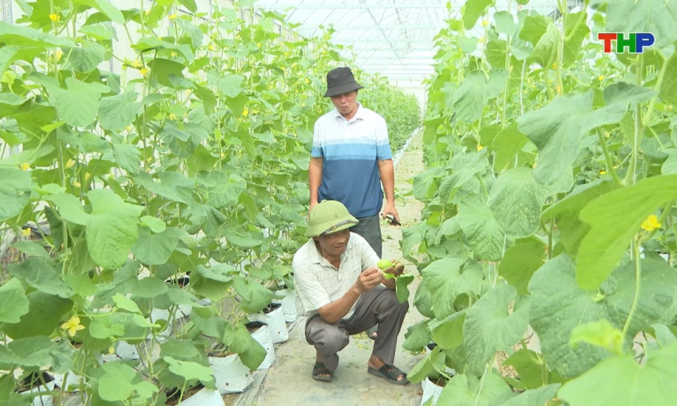 Bản tin tiếng Anh - Hai Phong News (20/05/2026)