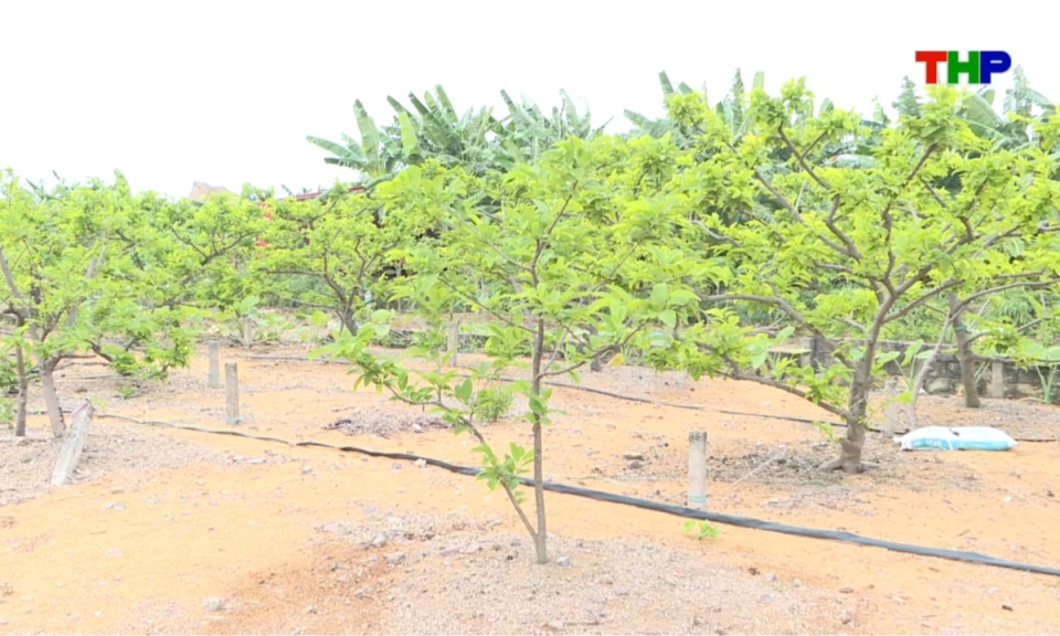 Bản tin thời sự s&aacute;ng (22/05/2026)