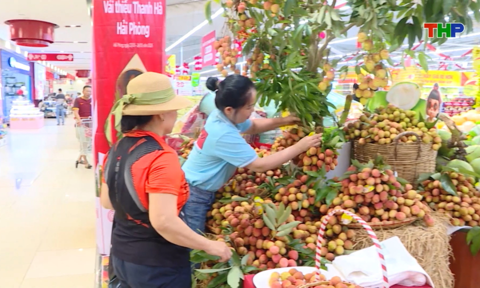 X&uacute;c tiến ti&ecirc;u thụ vải thiều Thanh H&agrave; 