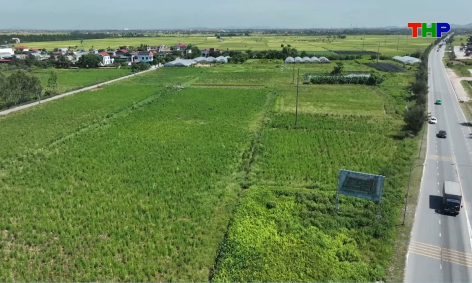 Nhịp sống 24h (24/05/2026)