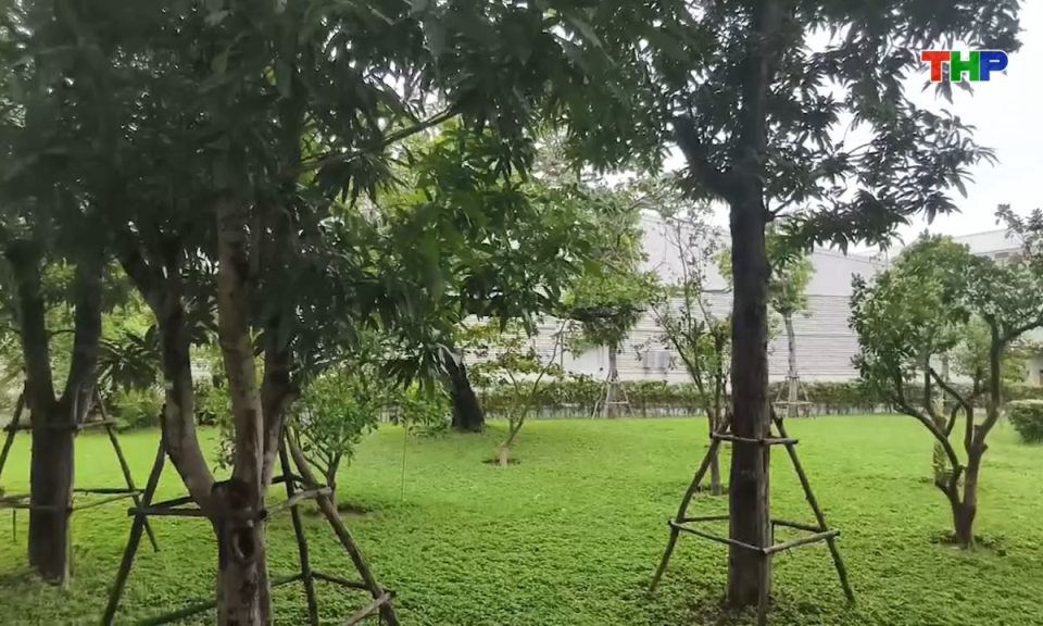 Hộp thư truyền h&igrave;nh: &Ocirc;ng Hiện cần đưa ra c&aacute;c căn cứ để được bồi thường, hỗ trợ khi thu hồi đất