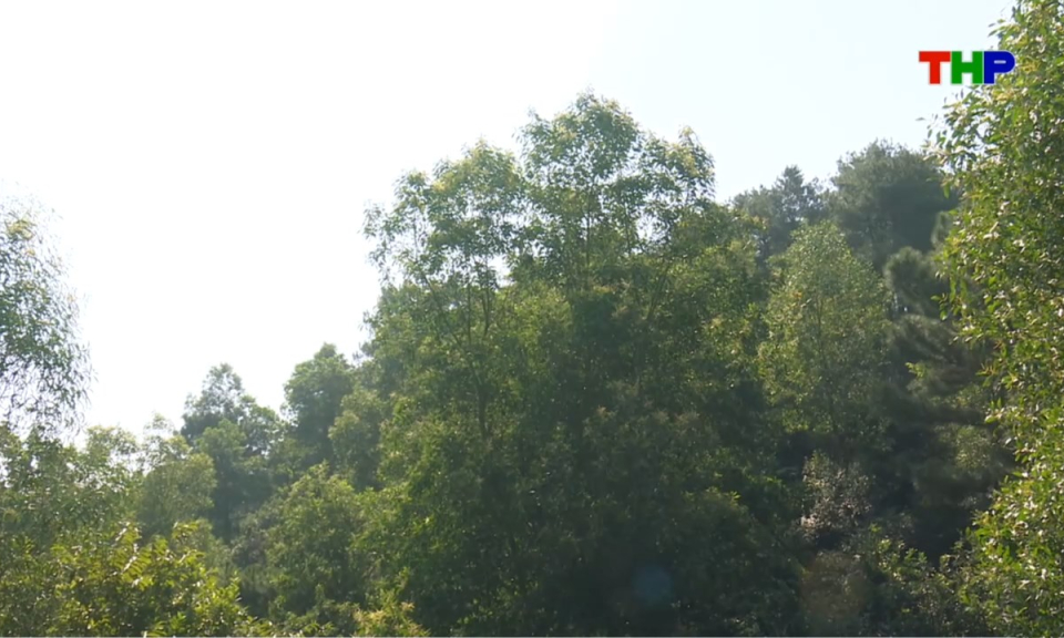 Nhịp sống 24h (25/05/2026)