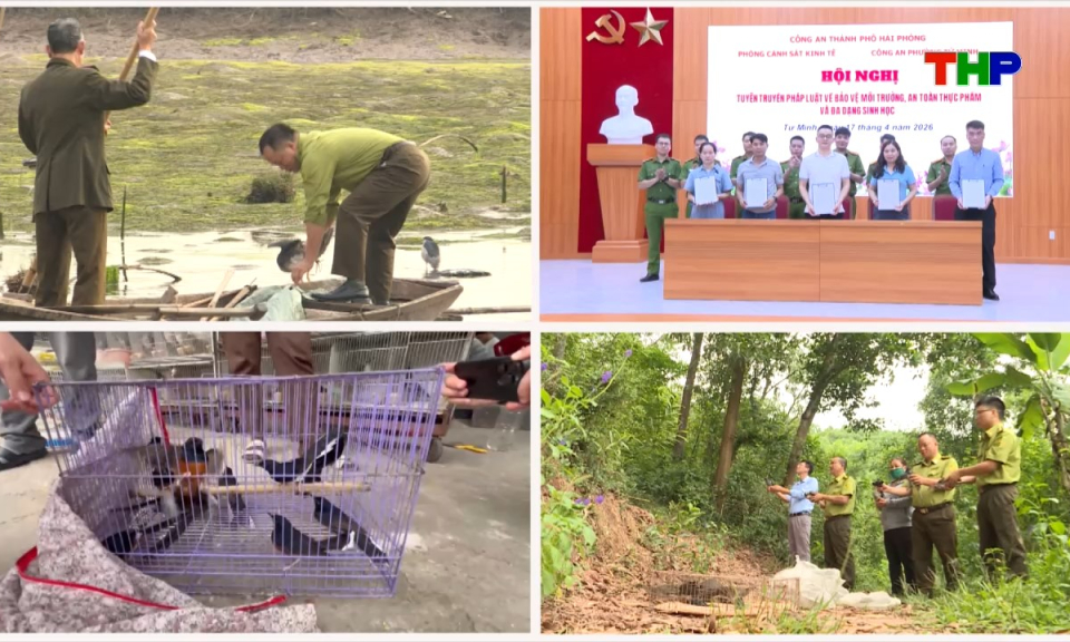 An ninh Hải Ph&ograve;ng: Quyết liệt ngăn chặn vi phạm về bảo vệ động vật hoang d&atilde;