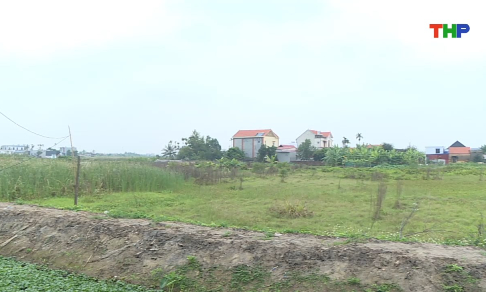 Ch&iacute;nh s&aacute;ch ph&aacute;p luật: Quy định về thu hồi đất n&ocirc;ng nghiệp kh&ocirc;ng sử dụng