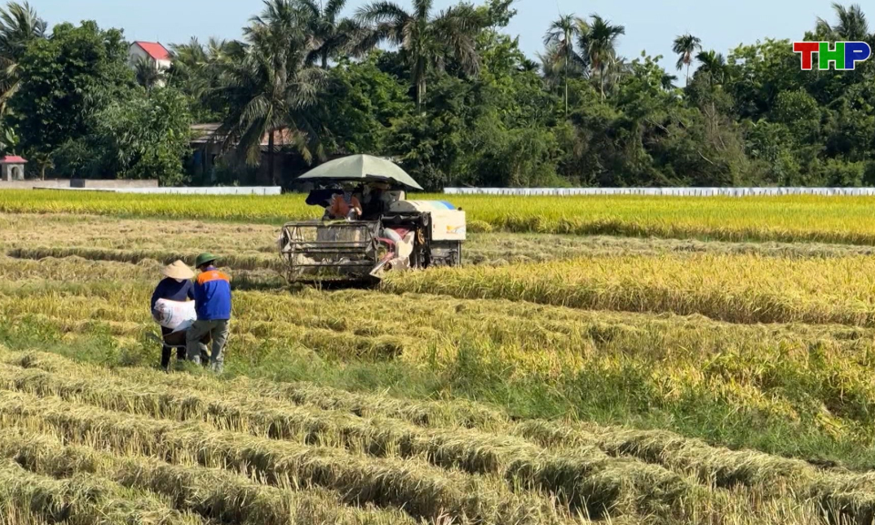 Bản tin thời sự 17h00 (26/05/2026)