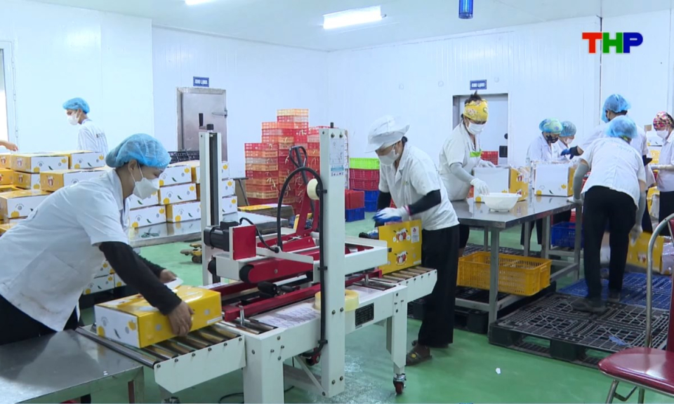 Bản tin thời sự tối (26/05/2026)