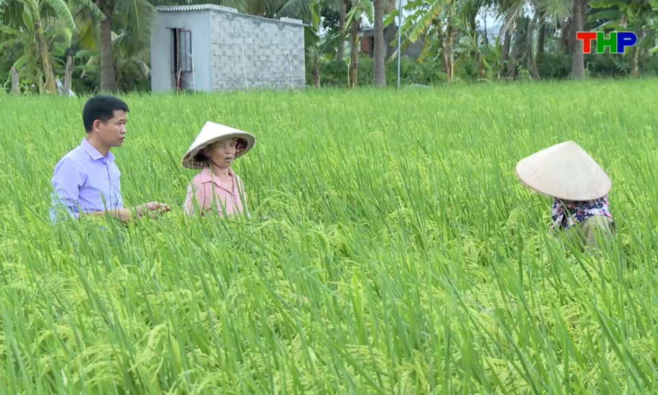 C&acirc;u chuyện của t&ocirc;i: L&agrave;m gi&agrave;u tr&ecirc;n qu&ecirc; hương
