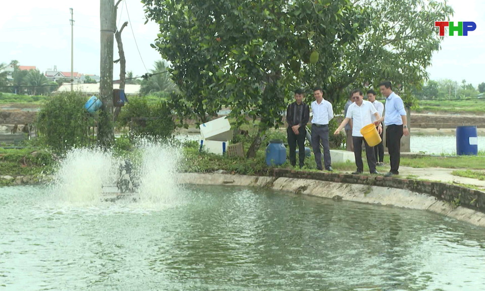 Bản tin thời sự 17h00 (28/05/2026)