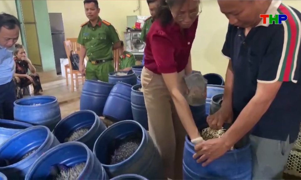 Gi&aacute; đỗ ng&acirc;m chất cấm - Thực trạng v&agrave; những nỗi lo
